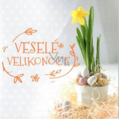 Nekupto Easter Wishes Happy Easter Sunny Spring Days 100 x 100 mm 3556 XI