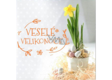 Nekupto Easter Wishes Happy Easter Sunny Spring Days 100 x 100 mm 3556 XI