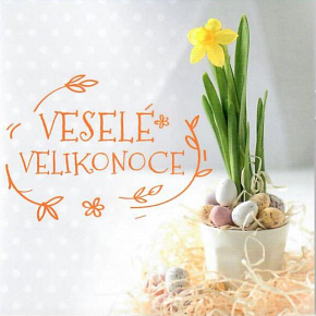 Nekupto Easter Greeting Happy Easter Sunny Spring Days 100 x 100 mm 3556 XI