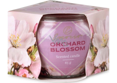 Emocio Decor Orchard Blossom - Fruit flower scented candle glass 70 x 62 mm 85 g
