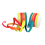 Ditipo Ribbon multi spring mix 16 mx 10 mm