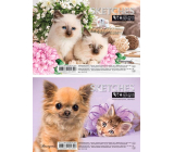 Ditipo Animals sketchbook sketchbook clean sheets 19,5 x 13,5 cm 12 sheets various motifs