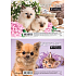 Ditipo Animals sketchbook sketchbook clean sheets 19,5 x 13,5 cm 12 sheets various motifs