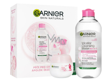 Garnier Skin Naturals Rose Cream face cream 50 ml + Skin Naturals All-in-1 micellar water 400 ml, cosmetic set for women