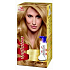 Wella Wellaton Foam Hair Color 8/3 Light Golden Blonde