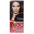 Garnier Color Sensation Hair Color 4.60 Intense dark red