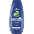 Schauma Shampoo Men Classic for Normal Hair, 250 ml