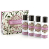 Somerset Toiletry White Jasmine body lotion 50 ml + shower gel 50 ml + shampoo with hair 50 ml + hair conditioner 50 ml, cosmetic travel set