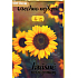 Nekupto Birthday card rotary dial Happy Birthday ... beautiful birthday 115 x 170 mm 3604 J