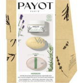 Payot Box Herbier Creme Universelle BIO universal skin cream with lavender oil 50 ml + Solid nourishing cream for body and face with rosemary essential oil 1 piece + Loofah gloves 1 piece, cosmetic set 2022