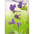 Nekupto Gift paper bag 32.5 x 26 x 13 cm Violets 1 piece 772 50 BL