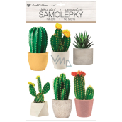 Plastic 3D cactus wall stickers 29 x 49 cm