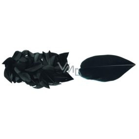 Feathers black 3 g in bag