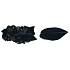 Feathers black 3 g in bag