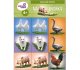 Ditipo Pexeso for little ones In the backyard for children 4+, 10 pairs of pictures