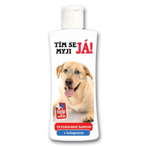 labrador shampoo