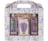 Bohemia Gifts Lavender shower gel 100 ml + oil bath 100 ml + fragrance card, cosmetic set for women