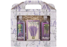 Bohemia Gifts Lavender shower gel 100 ml + oil bath 100 ml + fragrance card, cosmetic set for women