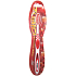 Nekupto Zubíci soft toothbrush named Ivana 1 piece