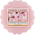 Yankee Candle Cherry Blossom - Cherry blossom fragrant wax for aroma lamp 22 g