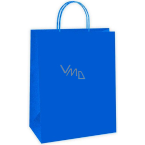 Ditipo Gift paper bag 22 x 10 x 29 cm ECO blue