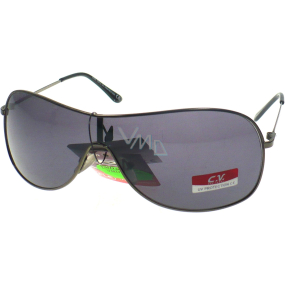 Fx Line Sunglasses 6046