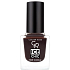 Golden Rose Ice Chic Nail Color nail polish 67 10.5 ml