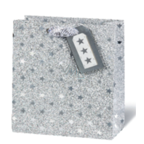 BSB Luxury gift paper bag 23 x 19 x 9 cm Christmas VDT 416 - A5