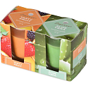 Emocio Tasty Fruit & Aloe Vera scented candle glass 52 x 65 mm 2 pieces in a box