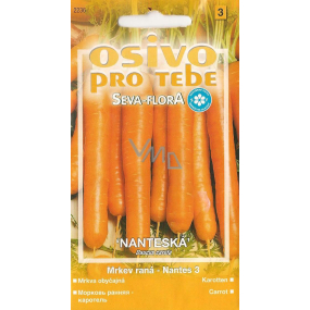 Seva - Flora Early carrot Nantes 3 nantes 3 g
