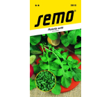 Semo Eruca sativa Arugula 4 g