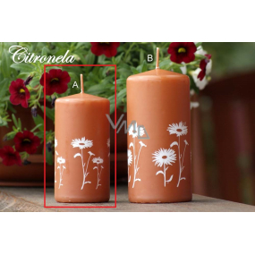 Lima Citronela mosquito repellent candle scented with flowers cinnamon cylinder 50 x 100 mm