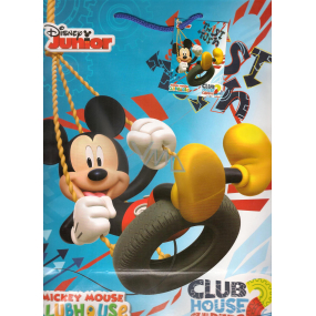 Ditipo Gift paper bag 26 x 13.7 x 32.4 cm Disney Mickey Mouse Twist Turn 2902 009