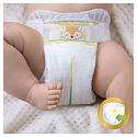 Pampers Premium Care 2 Mini 3-6 kg disposable diapers 80 pieces