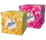 Linteo Premium paper handkerchiefs 3 ply 60 pieces white