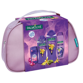 Palmolive Aroma Relaxed So Relaxed shower gel 250 ml + So Relaxed bath foam 500 ml + Lady Speed Stick Fresh & Essence solid antiperspirant 45 g + Naturals Softly Liss hair shampoo 350 ml + case, cosmetic set