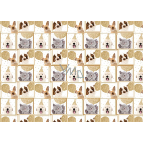 Ditipo Gift wrapping paper 70 x 100 cm Dogs and cats 2 sheets