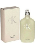 Calvin Klein CK One EdT 100 ml eau de toilette Ladies