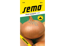 Semo Onion winter Hiberna 2 g