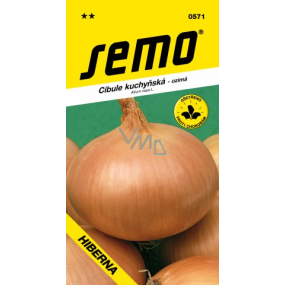 Semo Onion winter Hiberna 2 g