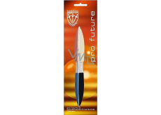 Kellermann 3 Swords Pro Future Line Nail Polisher FU7149