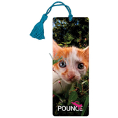 Prime3D bookmark - Kitten 5.7 x 15 cm