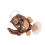 EP Line Deep Sea Robo Fish various types 19 x 8 x 5 cm, recommended age 3+