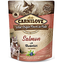 Carnilove Dog Pouch Paté Salmon with blueberries in cellless pockets for puppies 300 g