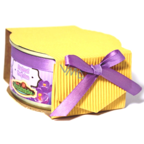 Albi Mini Garden Violet tin gift wrapping set for growing flowers