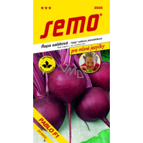 Semo Beetroot salad Pablo F1 - single germ 60 seeds