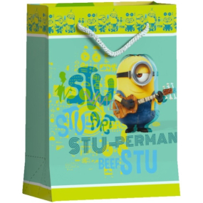 BSB Luxury gift paper bag 22.9 x 17.5 x 9.8 cm Mimoni DT M