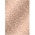 Ditipo Gift wrapping paper 70 x 100 cm Trendy Colors copper - copper twigs 2 sheets