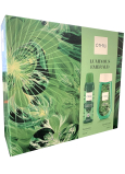C-Thru Luminous Emerald deodorant spray 150 ml + shower gel 250 ml, cosmetic set for women