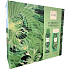C-Thru Luminous Emerald deodorant spray 150 ml + shower gel 250 ml, cosmetic set for women